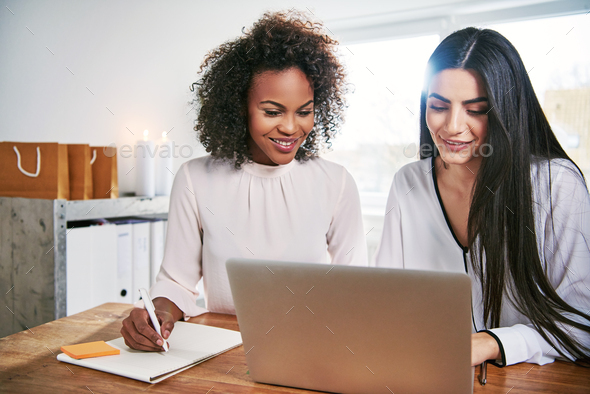 Two young women associates in a new business - Stock Photo - Images