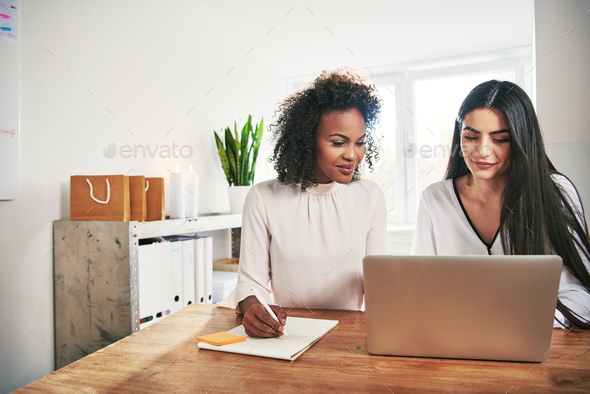 Two successful women running an ebusiness together - Stock Photo - Images
