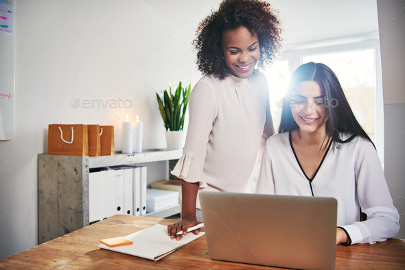 Two entrepreneurs working on project at laptop - Stock Photo - Images