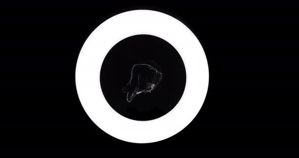 Man Shows Gestures And Signs With His Hands alt