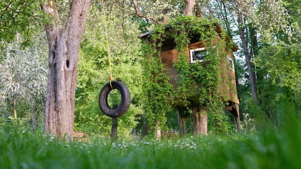 House on Tree