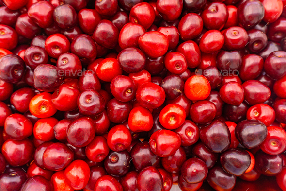 189 - Stock Photo - Images