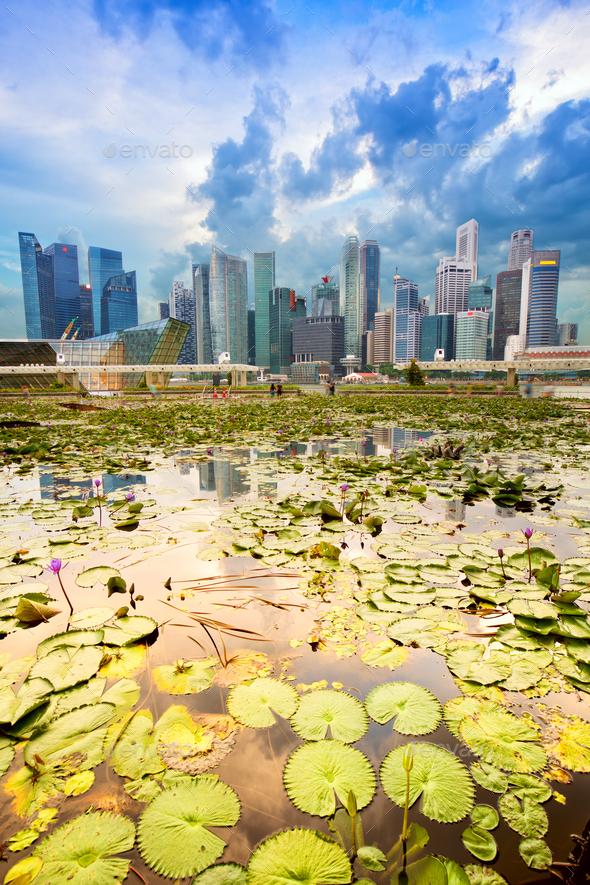 Singapore Skyline And Marina Bay District Stock Photo By Dibrova Photodune