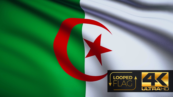 Flag 4K Algeria On Realistic Looping Animation With Highly Detailed Fabric alt