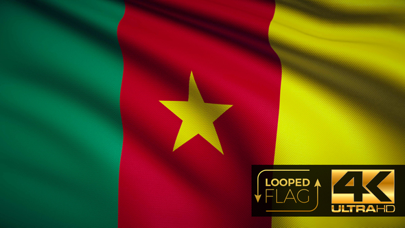 Cameroon Flag 4K alt