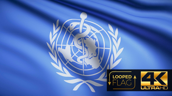 World Health Organization Flag 4K alt