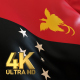 Papua New Guinea Flag - 4K - VideoHive Item for Sale