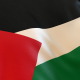 Palestine Flag - VideoHive Item for Sale