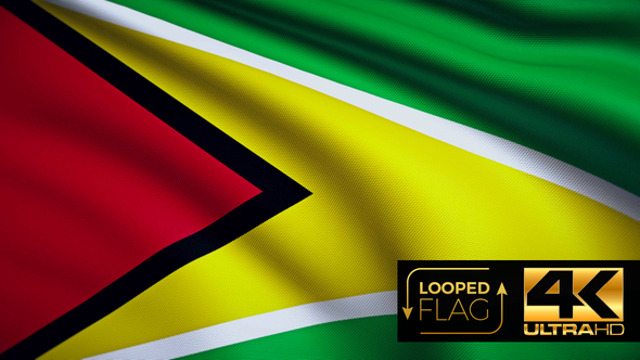Guyana Flag 4K alt