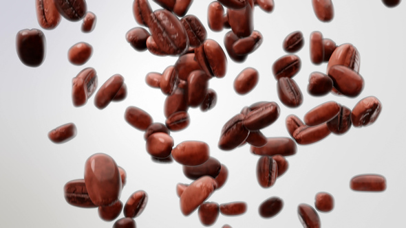 Falling Coffee Beans - Seamless Loop