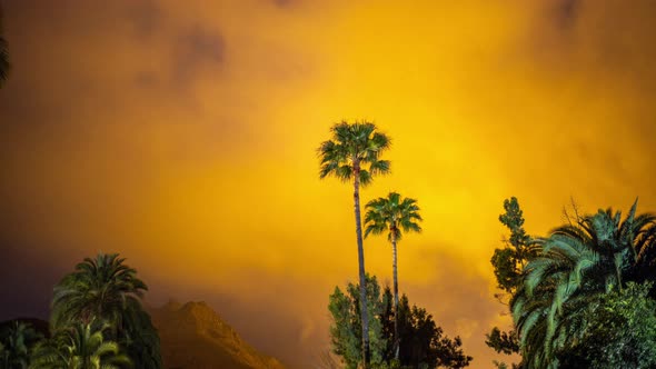 Night Time Stars in Oasis Palms alt