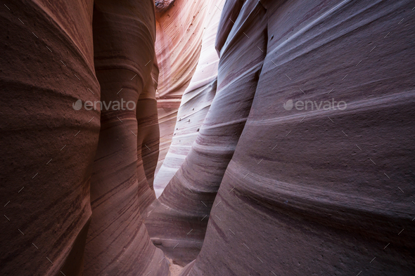 Slot canyon - Stock Photo - Images