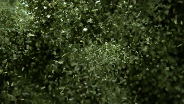 Super Slow Motion Shot of Green Dried and Chopped Seasoning Explosion at 1000Fps. alt