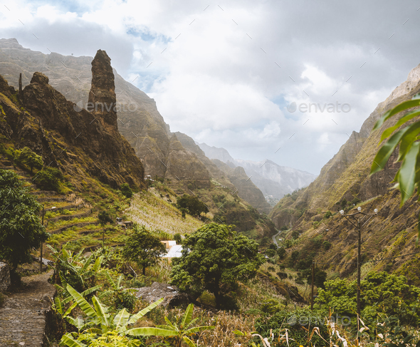 Picturesque canyon Ribeira da Torre covered with lush vegetation. Cultivation on steep terraced - Stock Photo - Images