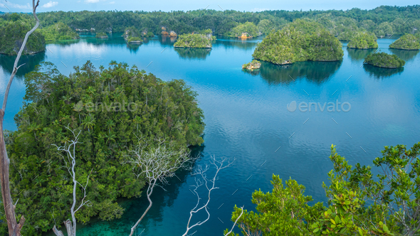 Many Islands covered by Palm trees in Passage between Gam and Waigeo, View Point near Warikaf - Stock Photo - Images