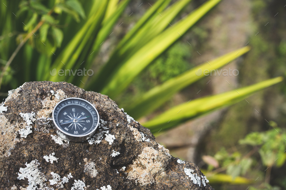 Navigation concept - Analogical compass laying on the rocky stone. Agave plant leaves in background - Stock Photo - Images