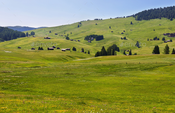 Alpe di Siusi or Seiser Alm, Dolomites Alps , Italy - Stock Photo - Images