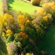 Aerial Drone View Of Autumn Foliage Forest - VideoHive Item for Sale