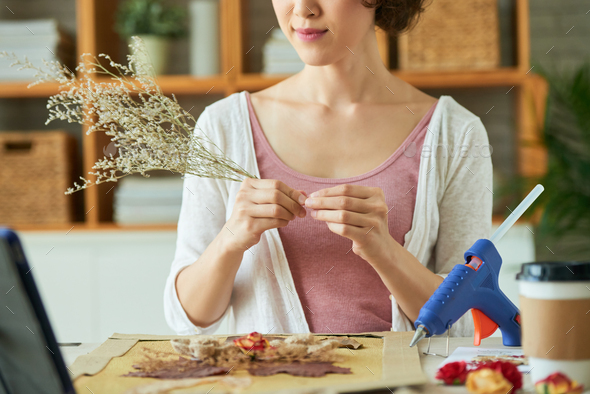 Making Artwork with Withered Flowers - Stock Photo - Images