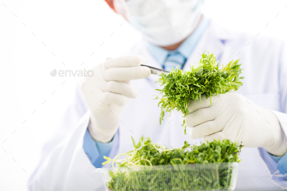 Carrying out Quality Control - Stock Photo - Images