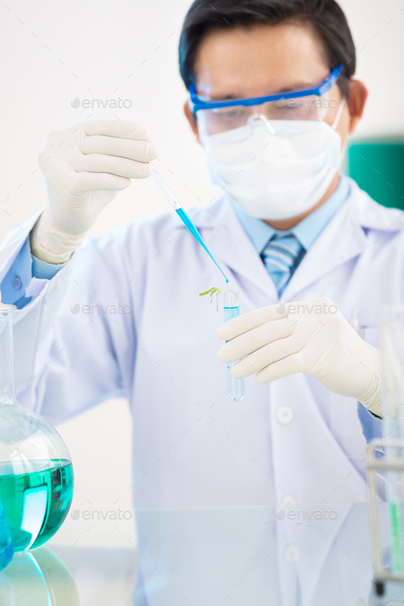 Microbiologist Carrying out Experiment with GMO Sprout - Stock Photo - Images