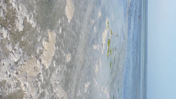 Zanzibar Tanzania  Vertical Video of Low Tide in the Ocean Near the Coast Slow Motion alt