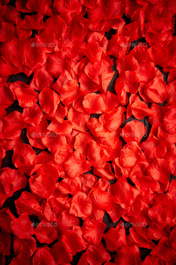 Background of beautiful red rose petals. Top view - Stock Photo - Images