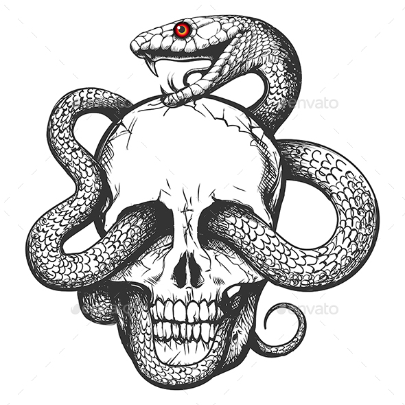 Snake Poster Stock Illustration - Download Image Now - Snake, Tattoo, Logo  - iStock