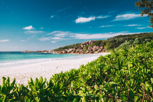 Grand Anse beach at La Digue island in Seychelles. White sandy beach with blue ocean lagoon. Green - Stock Photo - Images