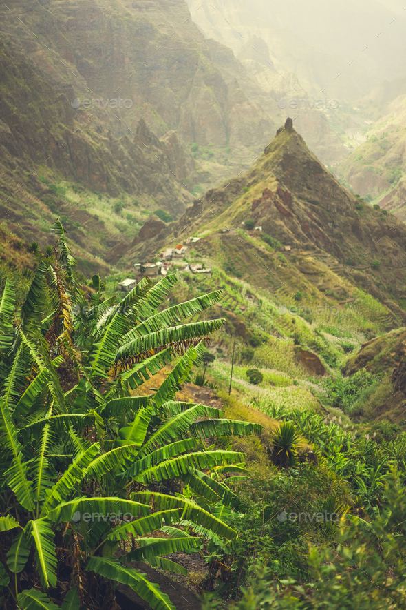 Banana plantation in Xo-Xo valley. Trekking route 202 lead between harsh peaks of the mountains