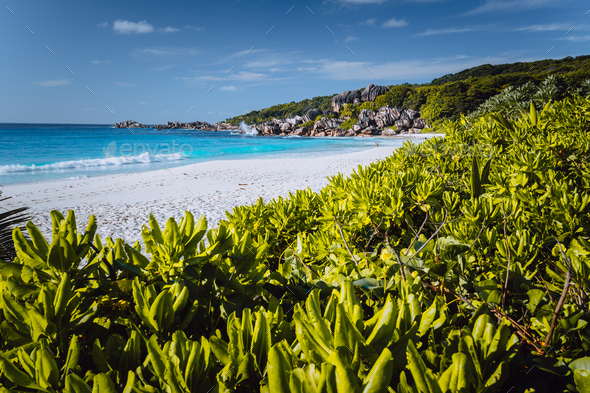 Grand Anse beach at La Digue island in Seychelles. White sandy beach with blue ocean lagoon. Green - Stock Photo - Images