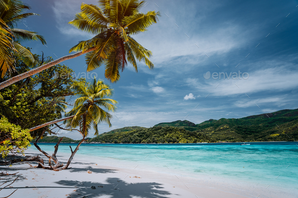 Luxury vacation on tropical island. Paradise beach with white sand and palm trees. Long distance - Stock Photo - Images