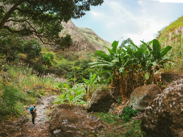 Female hiker take a rest in wondrous lush canyon full of exotic vegetation. Plenty of tropical fruit - Stock Photo - Images