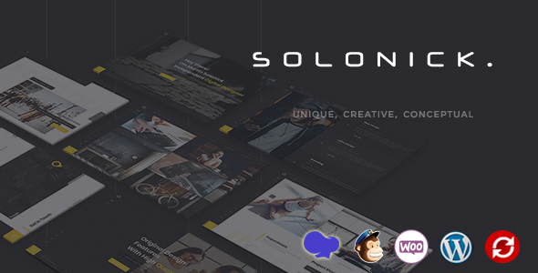 Solonick - Personal - ThemeForest 21872602