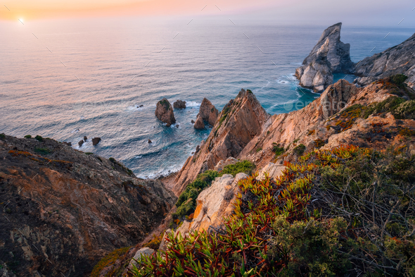 Praia da Ursa Beach at golden burn sunset. Flowers in foreground and surreal scenery. Sintra - Stock Photo - Images