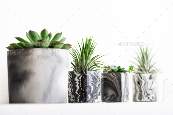 Marbled geometric succulent planters with beautiful tiny plants - Stock Photo - Images