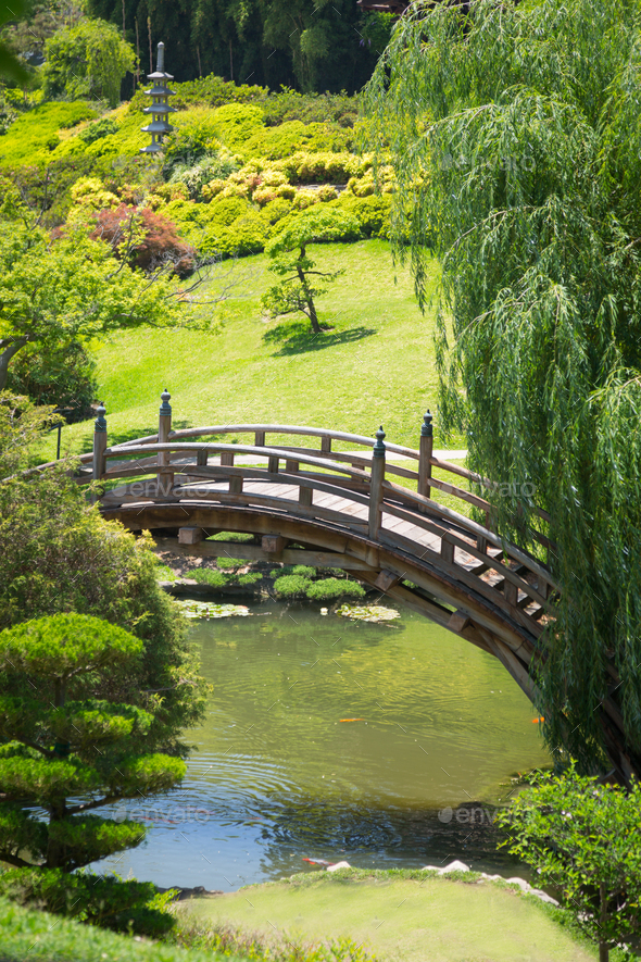 Beautiful Japanese Garden with Pond and Bridge. Stock Photo by Andy ...