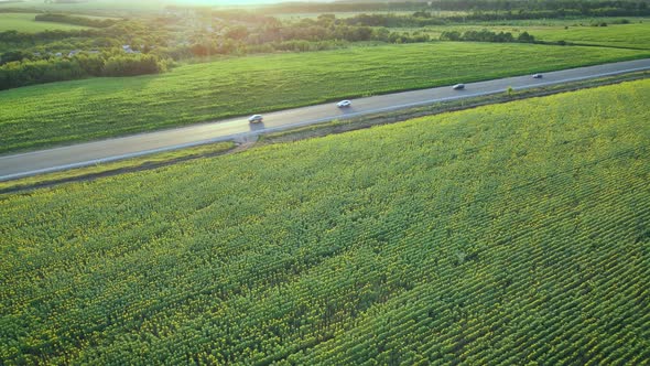 Cars drive on highway in countryside at sunset alt