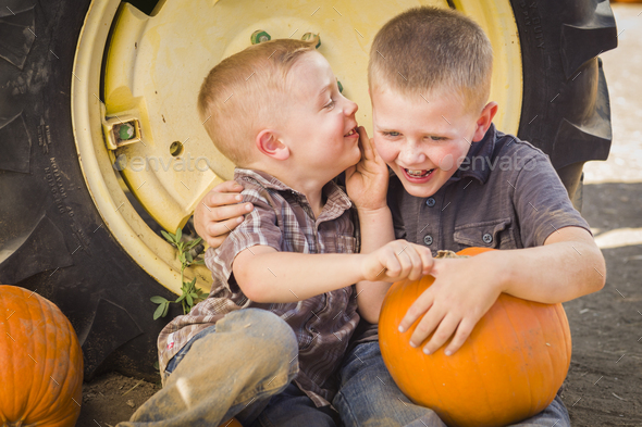 Two Boys Sitting Against Tractor Tire Holding Pumpkins Whispering Secrets - Stock Photo - Images