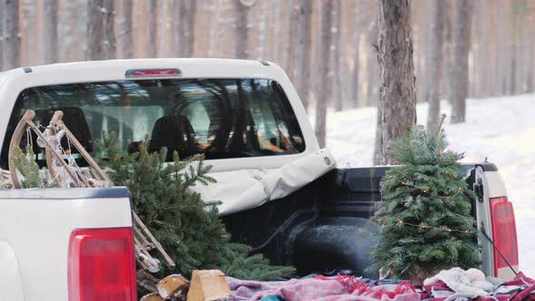 A Teenager Is Loading a New Year Tree in the Back of a Pickup Truck alt