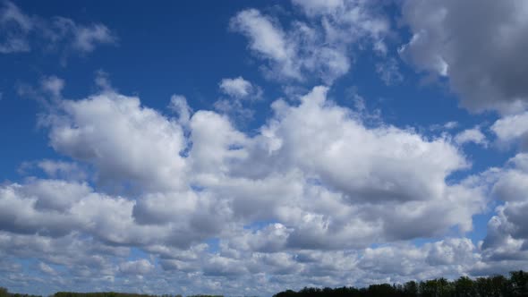 Blue Sky with White Cumulus Clouds