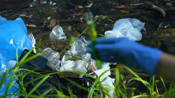 Hand in Glove Holding Tube With Dangerous Liquid From Polluted Area, Research alt