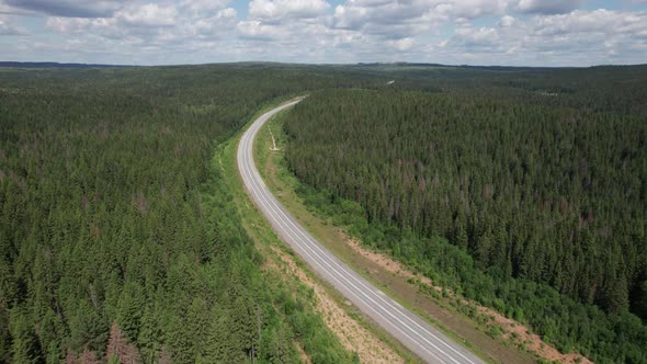 Aerial View of Scenic Road Between Green Trees with Pines on a Sunny Summer Morning alt