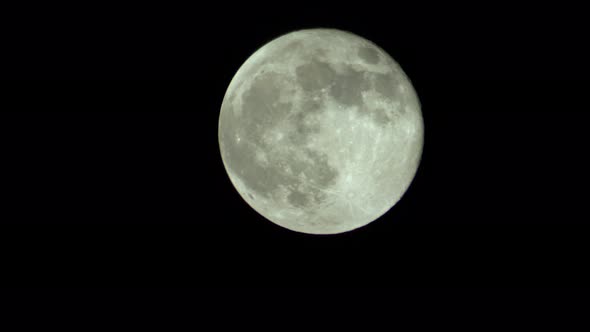 Full Moon in the Night Sky alt