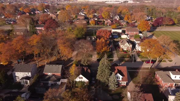 Residential Area With Colorful Autumn Landscapes During Daytime In Trenton, Michigan USA - Aerial Si alt