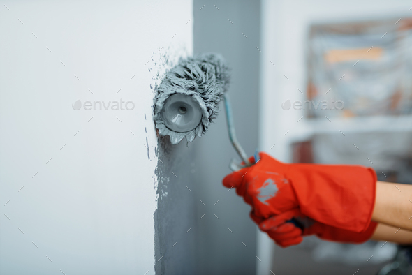 Female house painter hand with paint roller - Stock Photo - Images