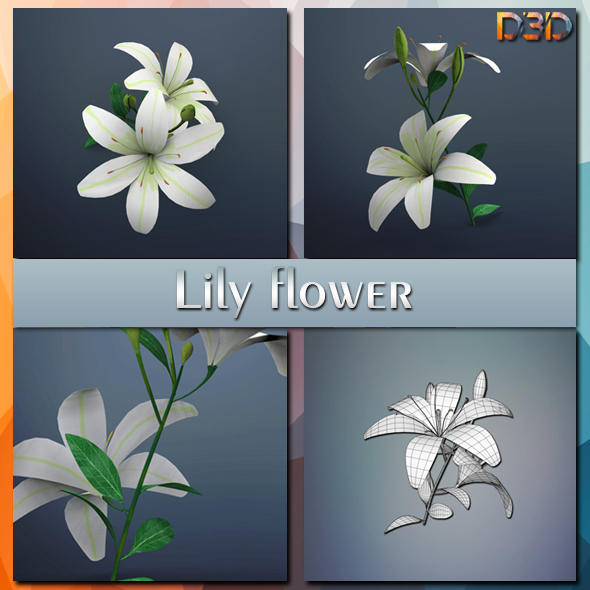 Lily flower - 3Docean 25497466