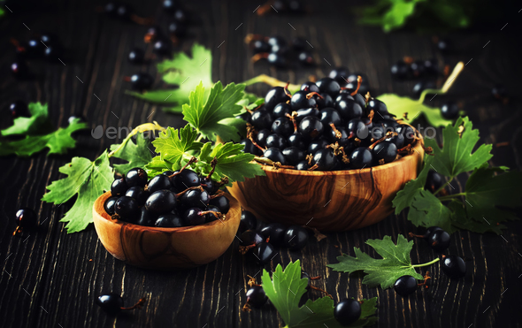 fresh black currants - Stock Photo - Images