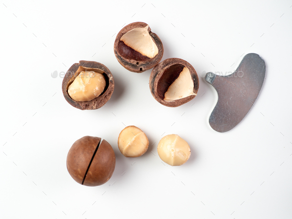 Set macadamia nuts isolated - Stock Photo - Images
