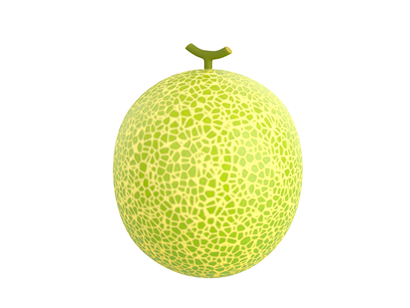 Melon - 3Docean 25516316